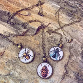 insecta // bug, bee or fly pendant necklace